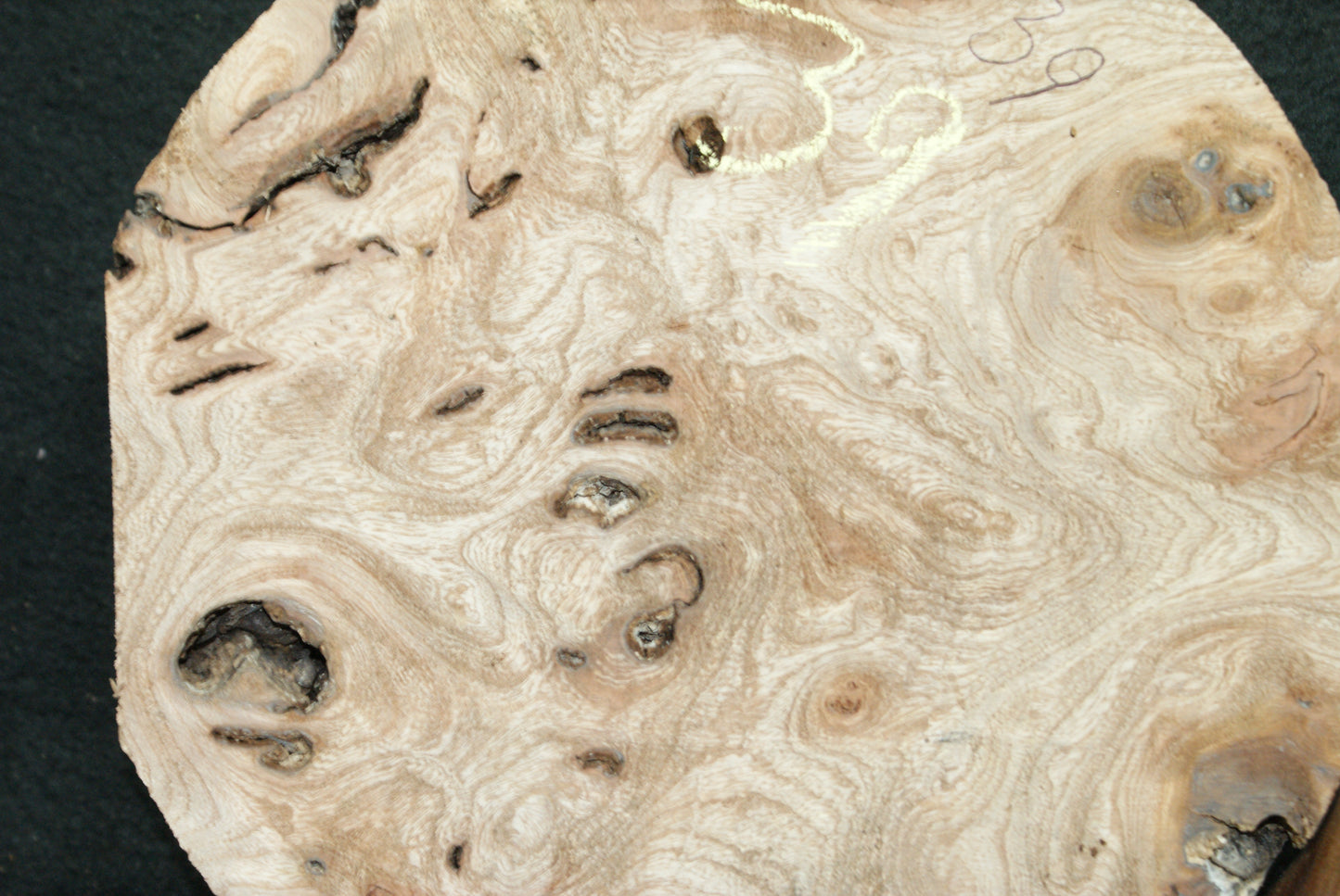 Elm Burr wood turning blanks, perfect for resin work (38)