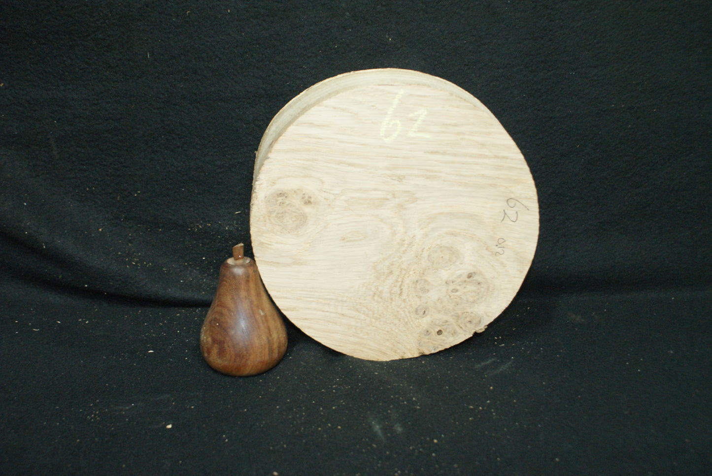 Pippy Oak wood turning blank 8 W x 3.5 D Inches (62)