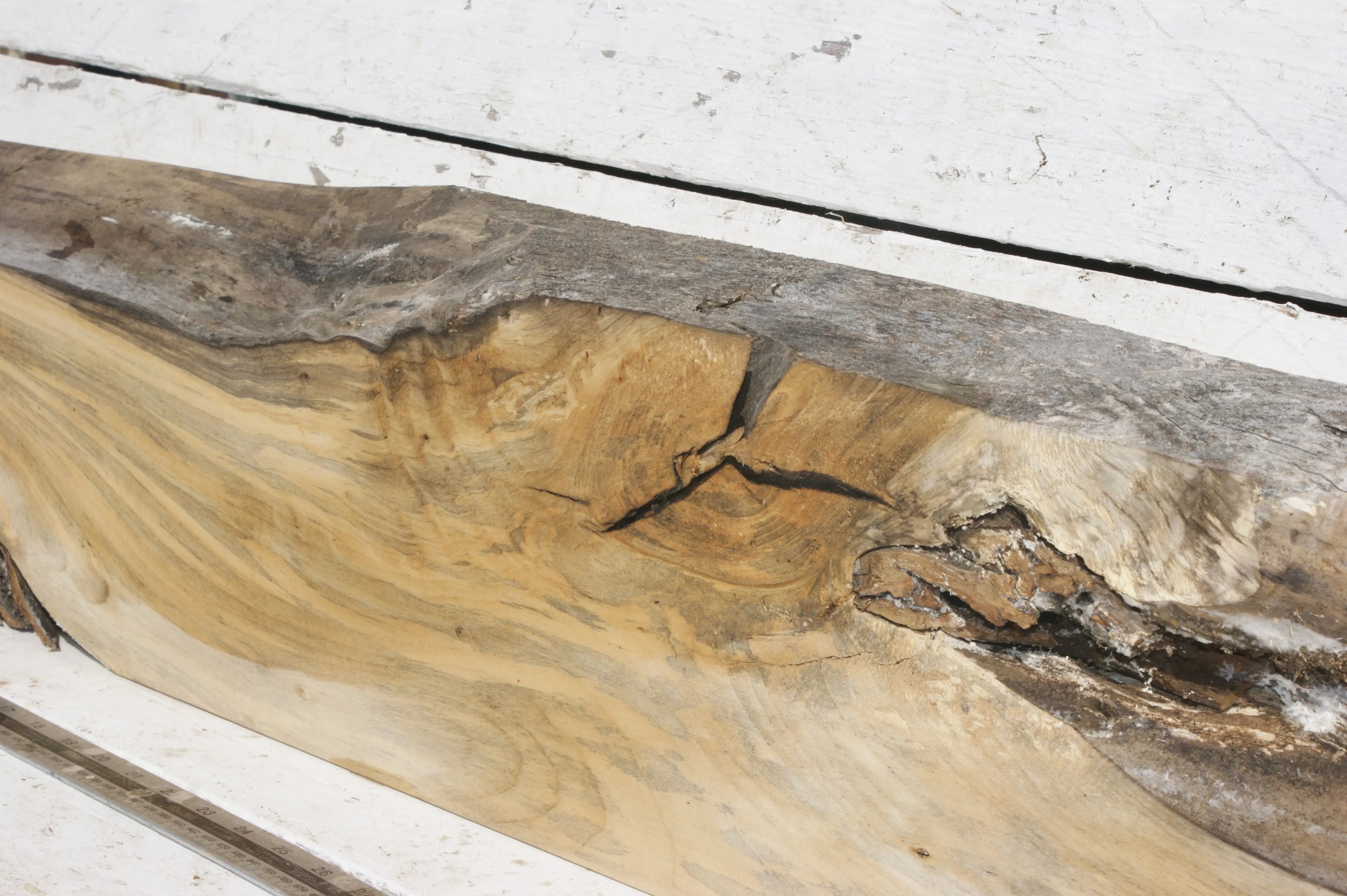 LIME MANTLE  1141 L x 220 - 182 W x 78 D mm  (494) Lime