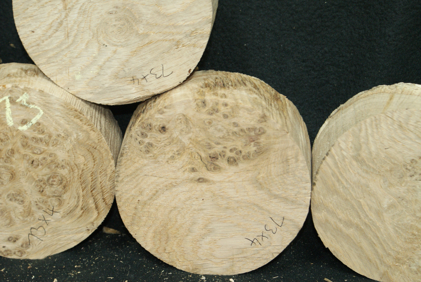 x4 Pippy Oak wood turning blanks 5 W x 2 D Inches (73)