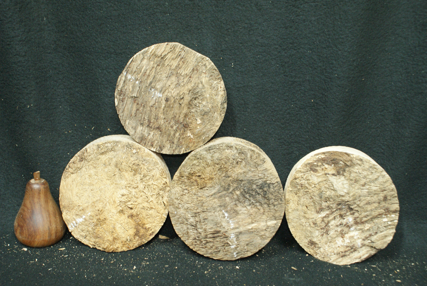 x4 Pippy Oak wood turning blanks 5 W x 2 D Inches (73)