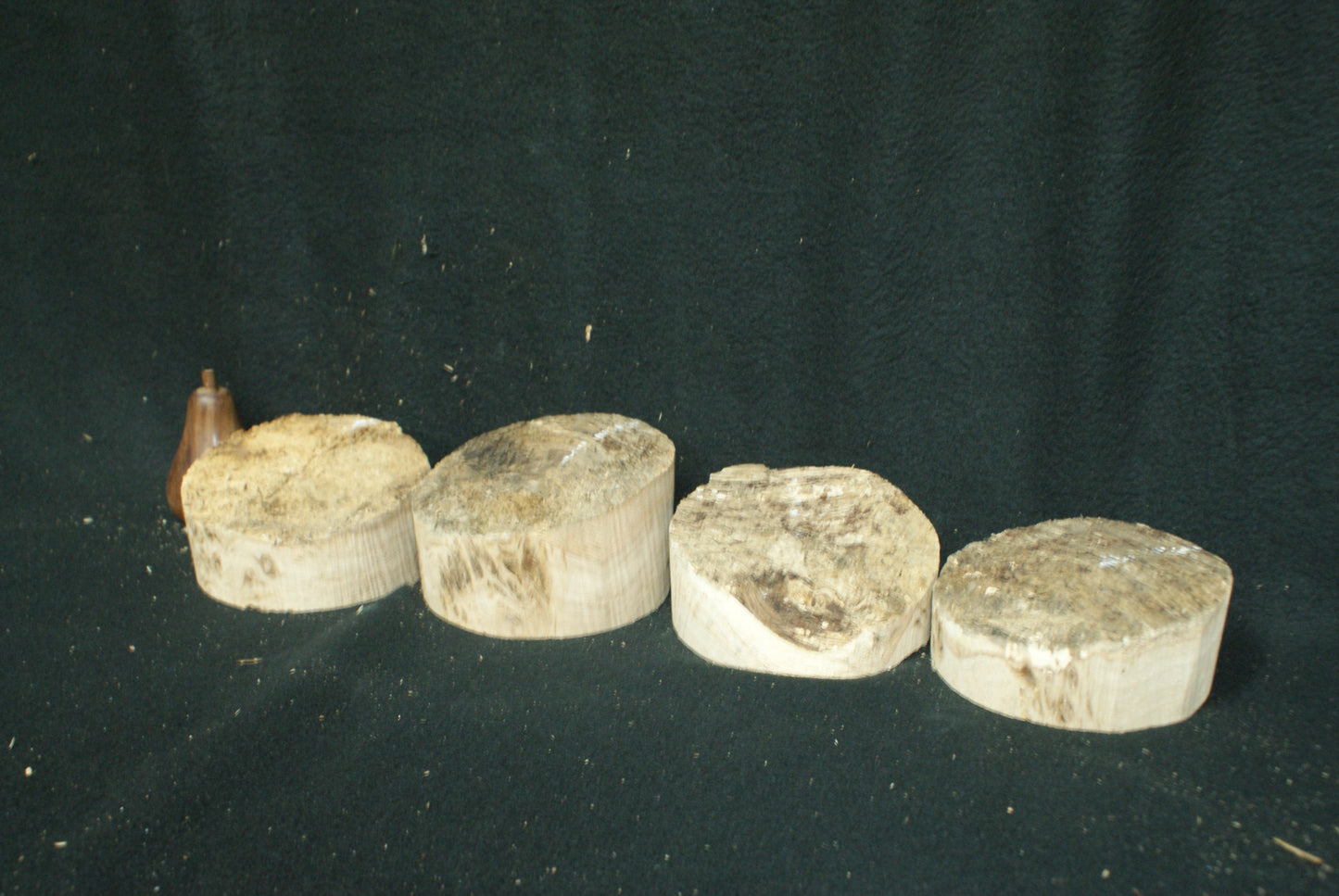 x4 Pippy Oak wood turning blanks 5 W x 2 D Inches (73)