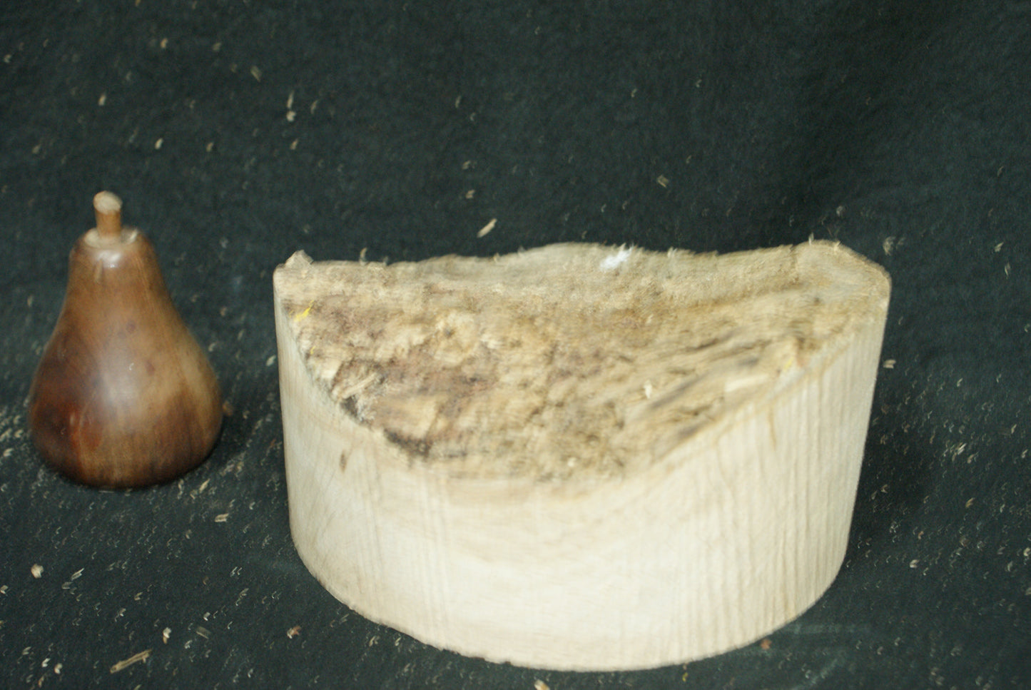 A Grade Oak wood turning blank 7 W x 2.5 D Inches (78)