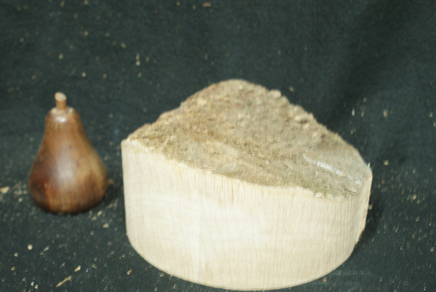 A Grade Oak wood turning blank 7 W x 2.5 D Inches (78)