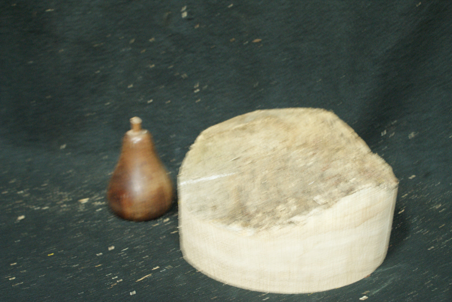 A Grade Oak wood turning blank 7 W x 2.5 D Inches (78)