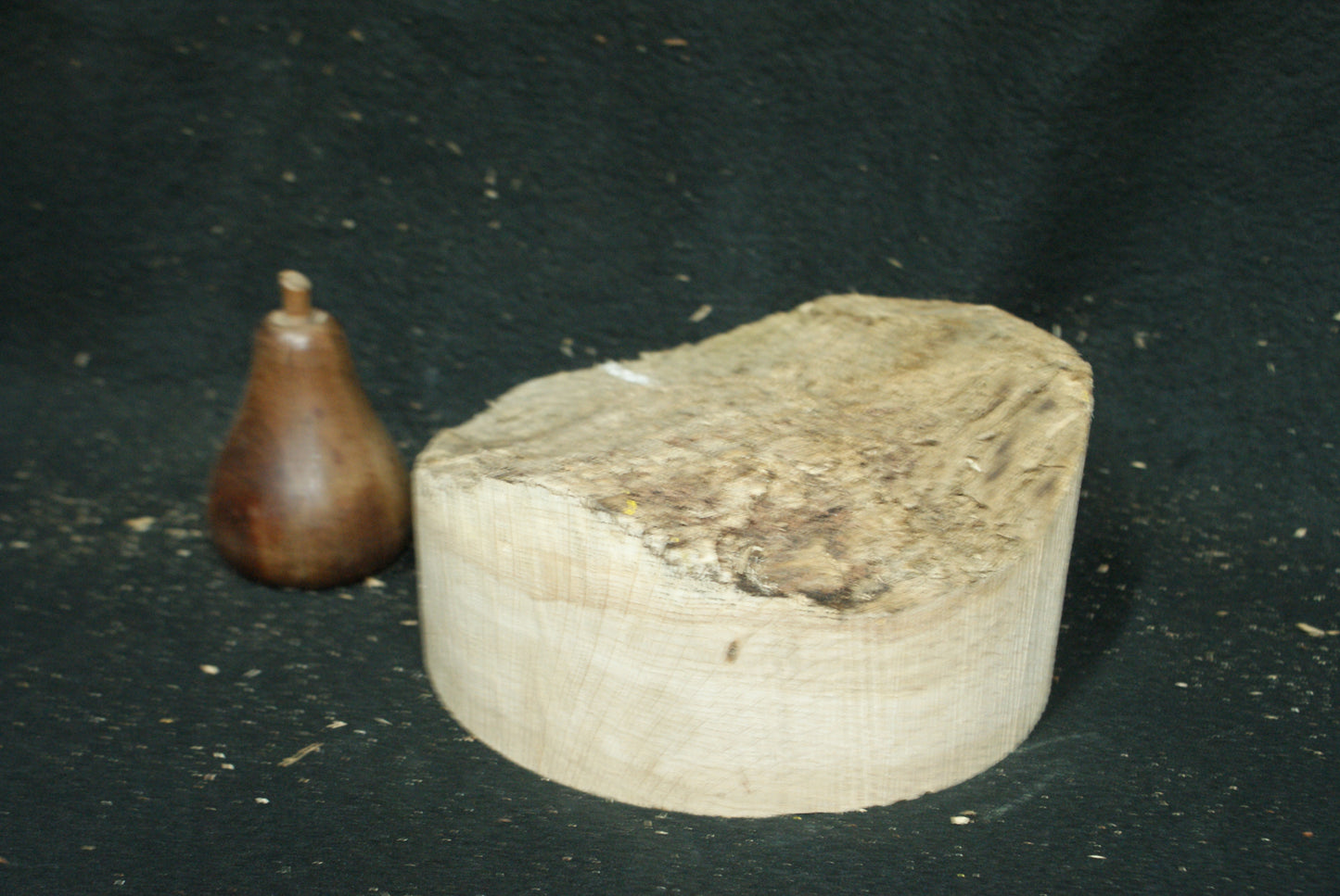 A Grade Oak wood turning blank 7 W x 2.5 D Inches (78)