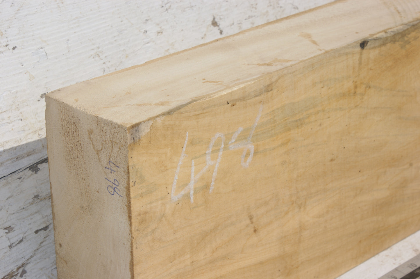 Lime wood carving  518 L x 180 W x 71 D mm  (498)