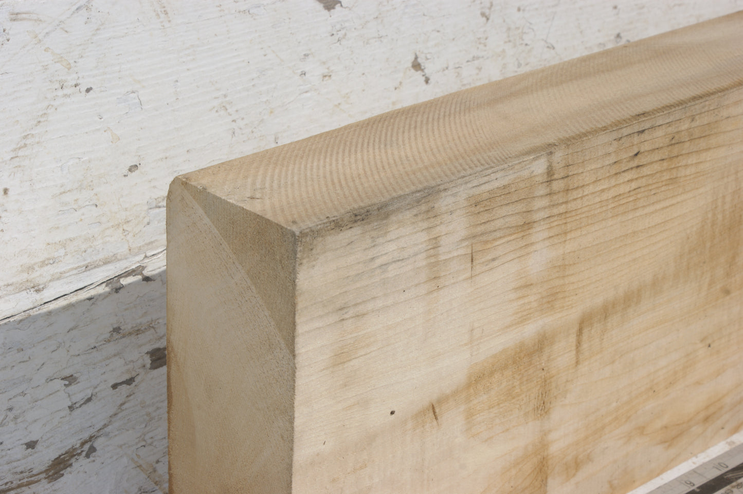 Lime wood carving  518 L x 180 W x 71 D mm  (498)
