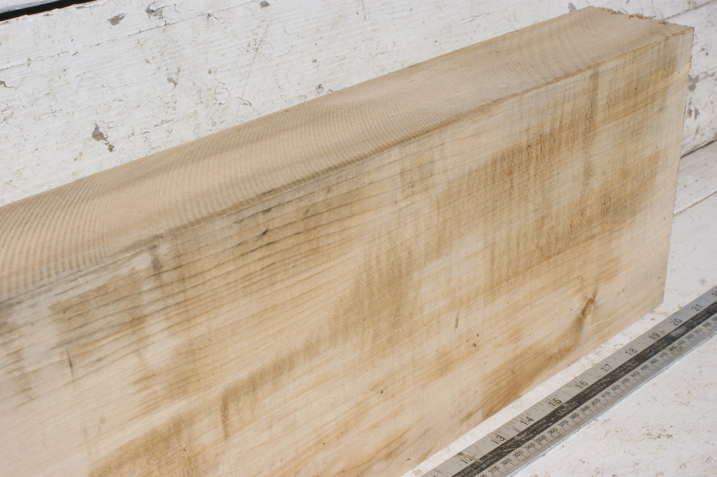 Lime wood carving  518 L x 180 W x 71 D mm  (498)