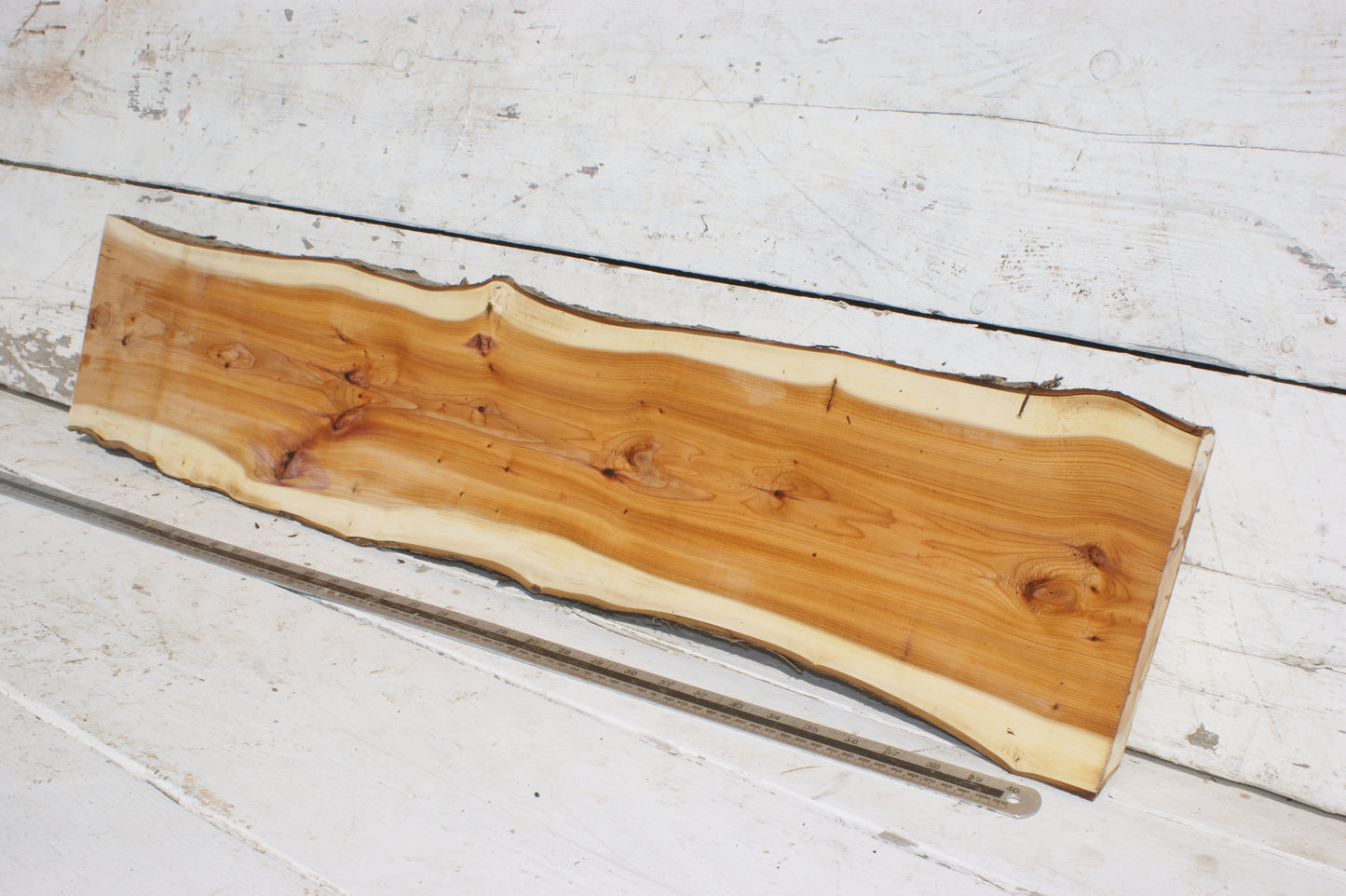 English Yew Shelf. (501)