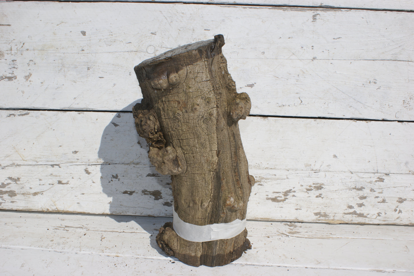 Burr Mulberry Branch    (532)