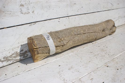 English box wood   (535)