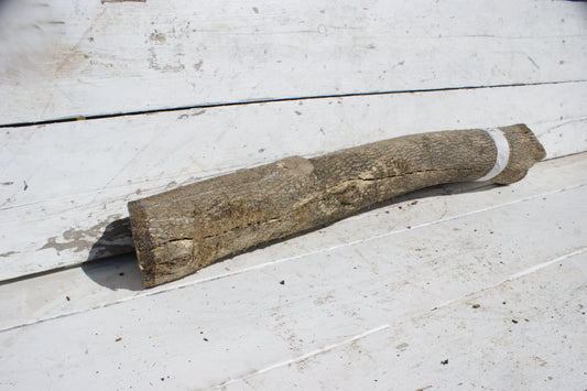 English box wood   (536)