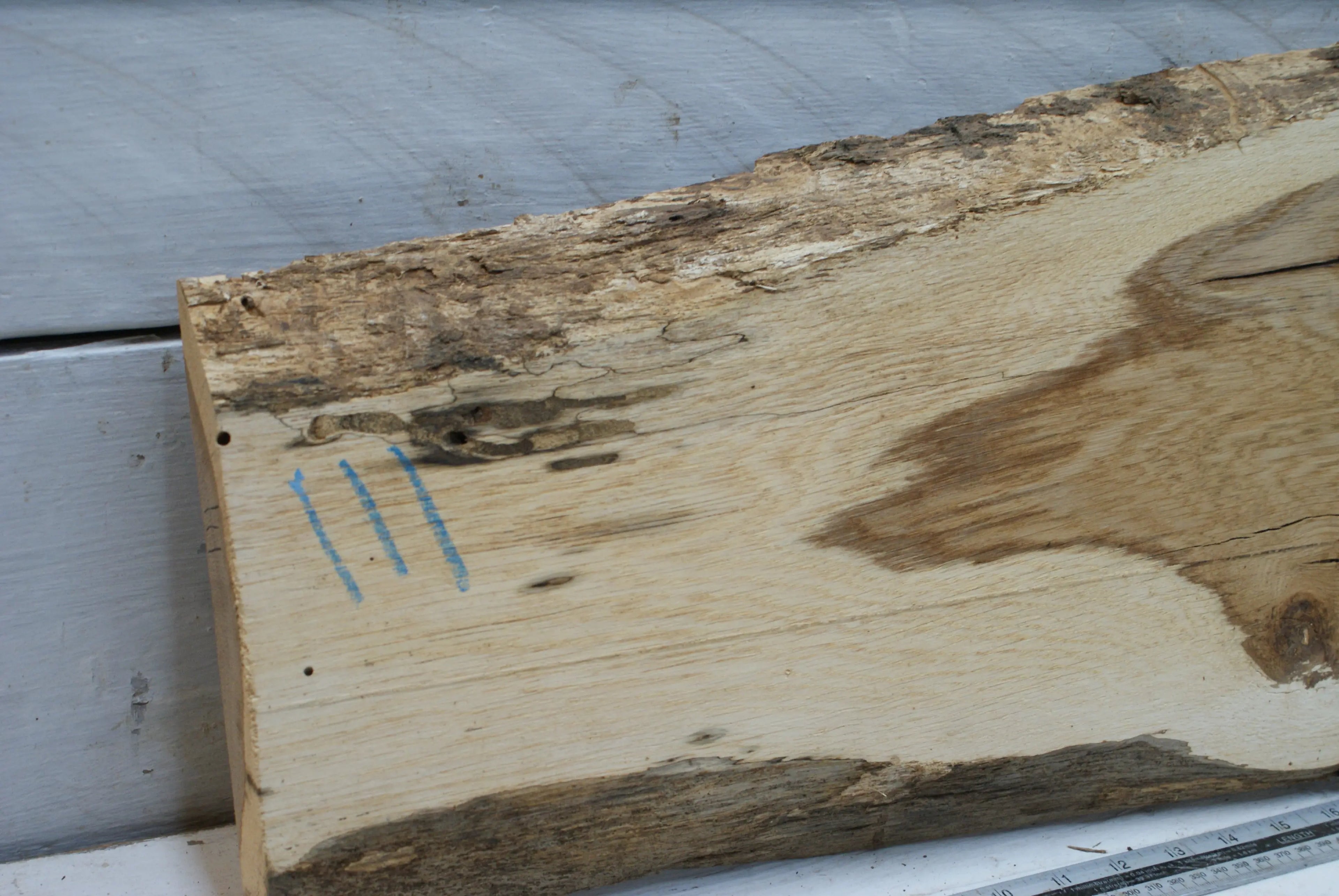 Oak 1019 L x 296 - 179  W x 30 D (mm) (111) Oak