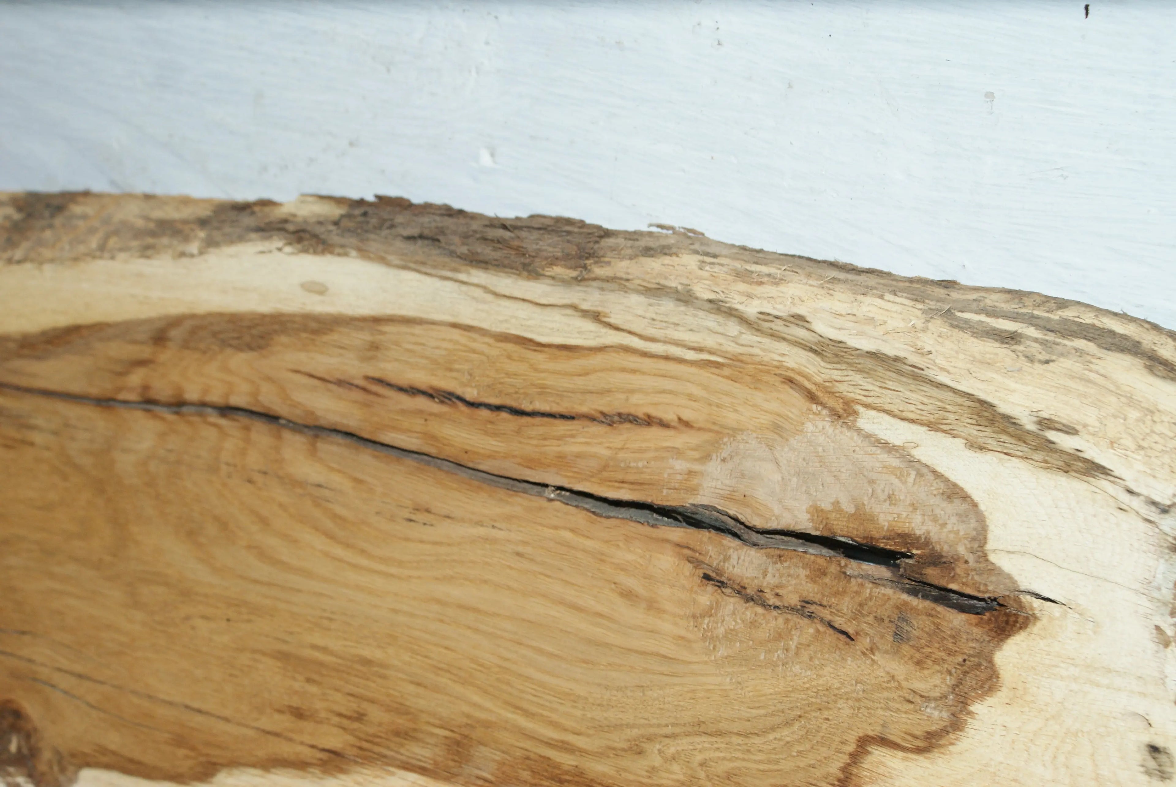 Oak 1019 L x 296 - 179  W x 30 D (mm) (111) Oak