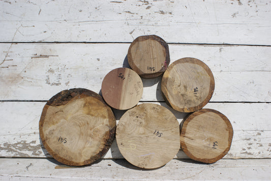 6x A grade mixed wood turning blank  (541)