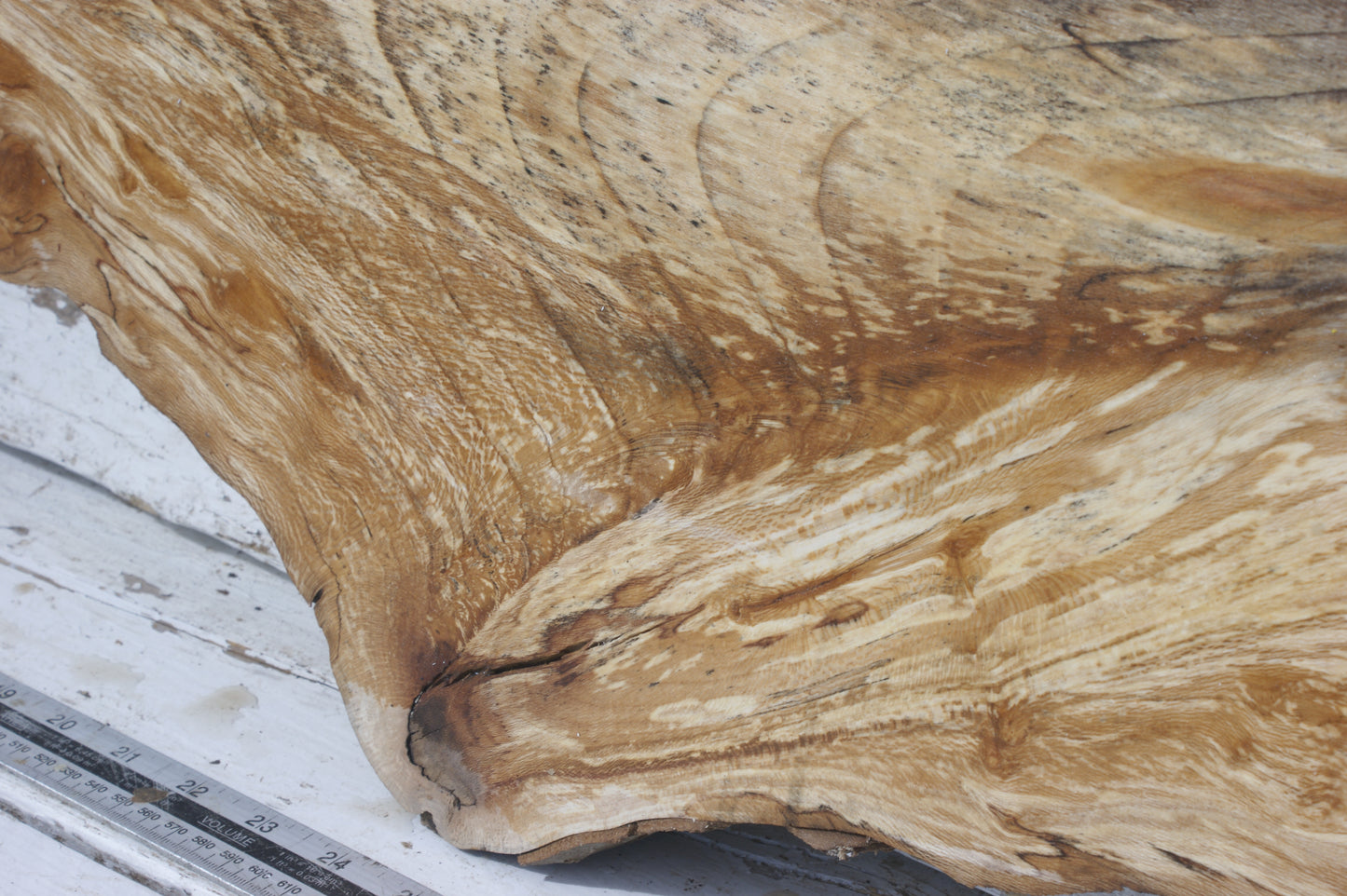 London Plane Mantle 1200 L x 255 - 150 W x 53 mm (544)