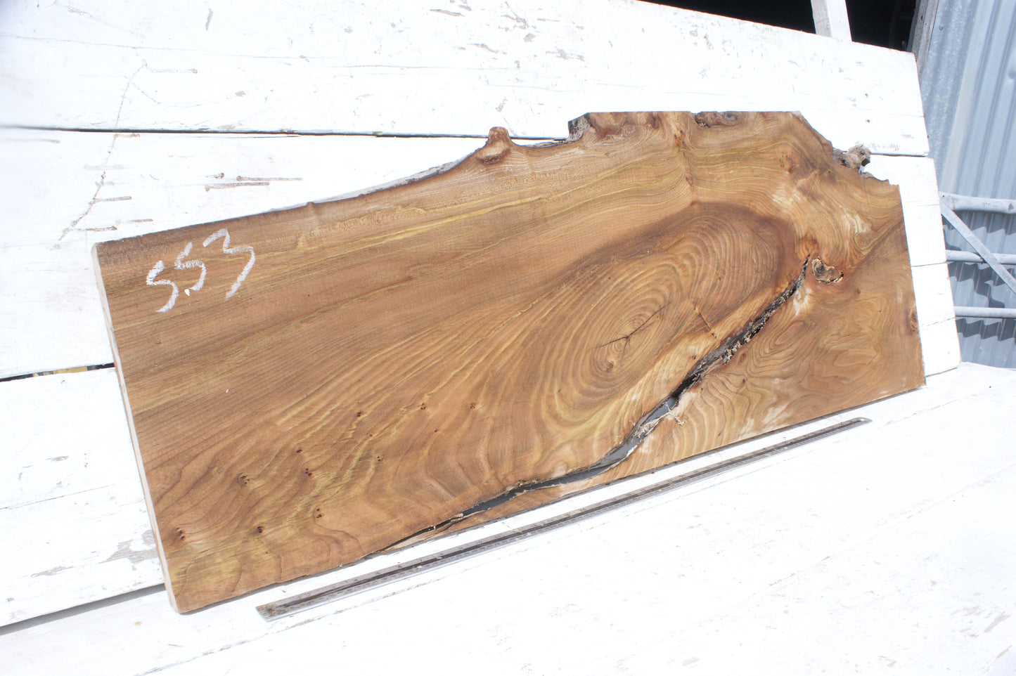Pippy elm, 1362 L x 507 x 353 W x 37 D mm    (553)