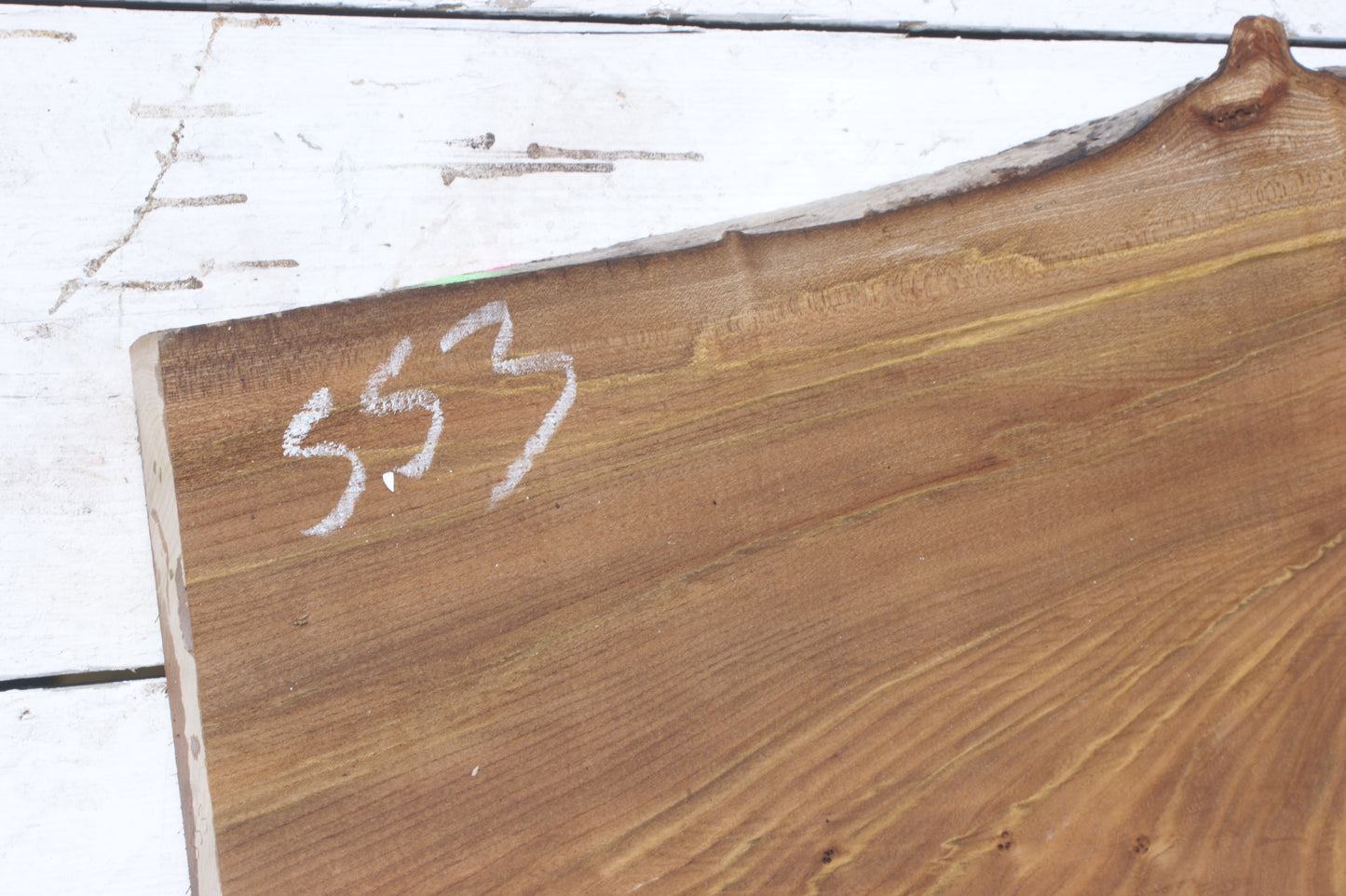 Pippy elm, 1362 L x 507 x 353 W x 37 D mm    (553)