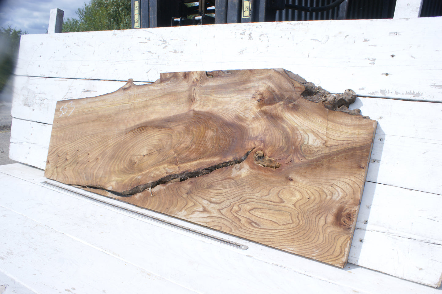 Pippy elm, 1362 L x 507 x 353 W x 37 D mm    (553)