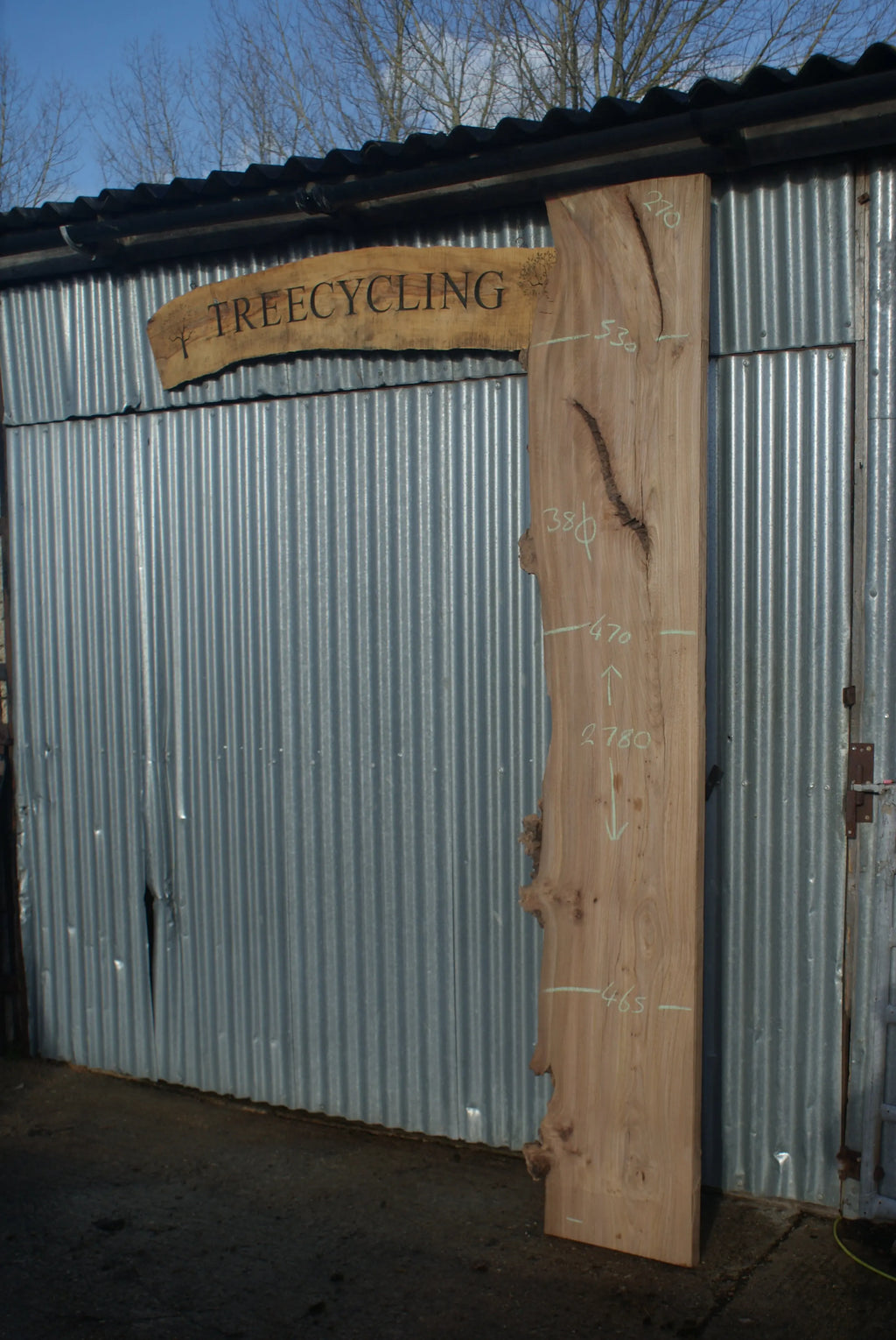 Large Elm Slab Kiln Dried 2780 L x 550 - 415 W x 38 D mm   (270) elm