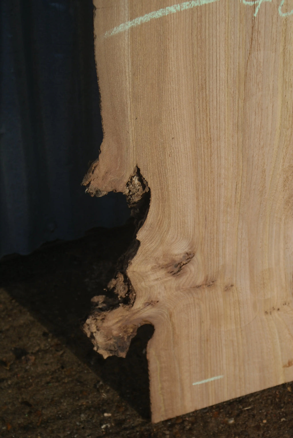 Large Elm Slab Kiln Dried 2780 L x 550 - 415 W x 38 D mm   (270) elm