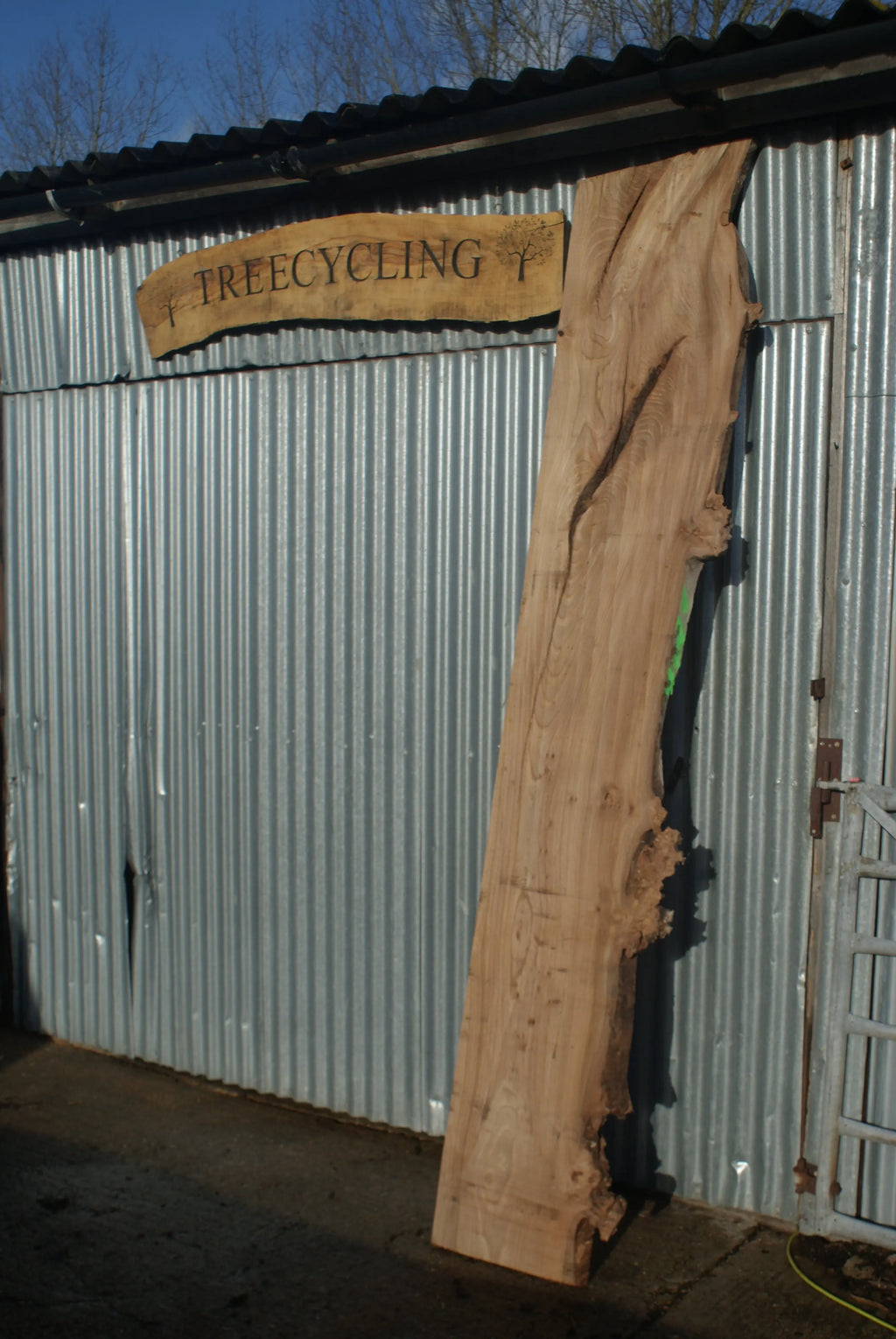 Large Elm Slab Kiln Dried 2780 L x 550 - 415 W x 38 D mm   (270) elm