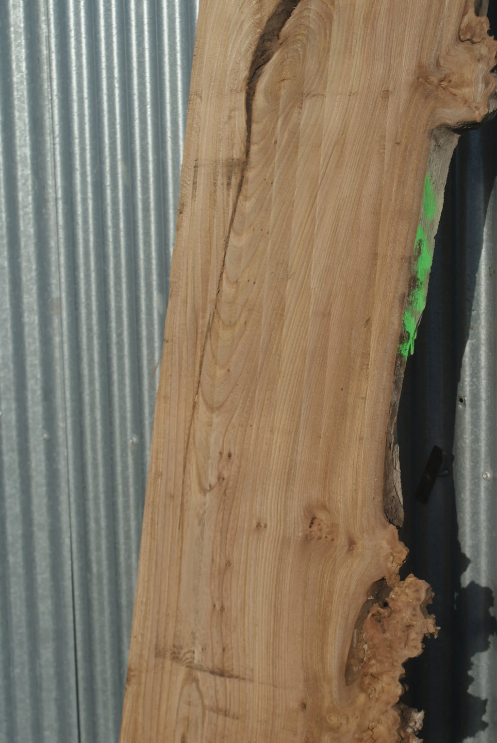 Large Elm Slab Kiln Dried 2780 L x 550 - 415 W x 38 D mm   (270) elm