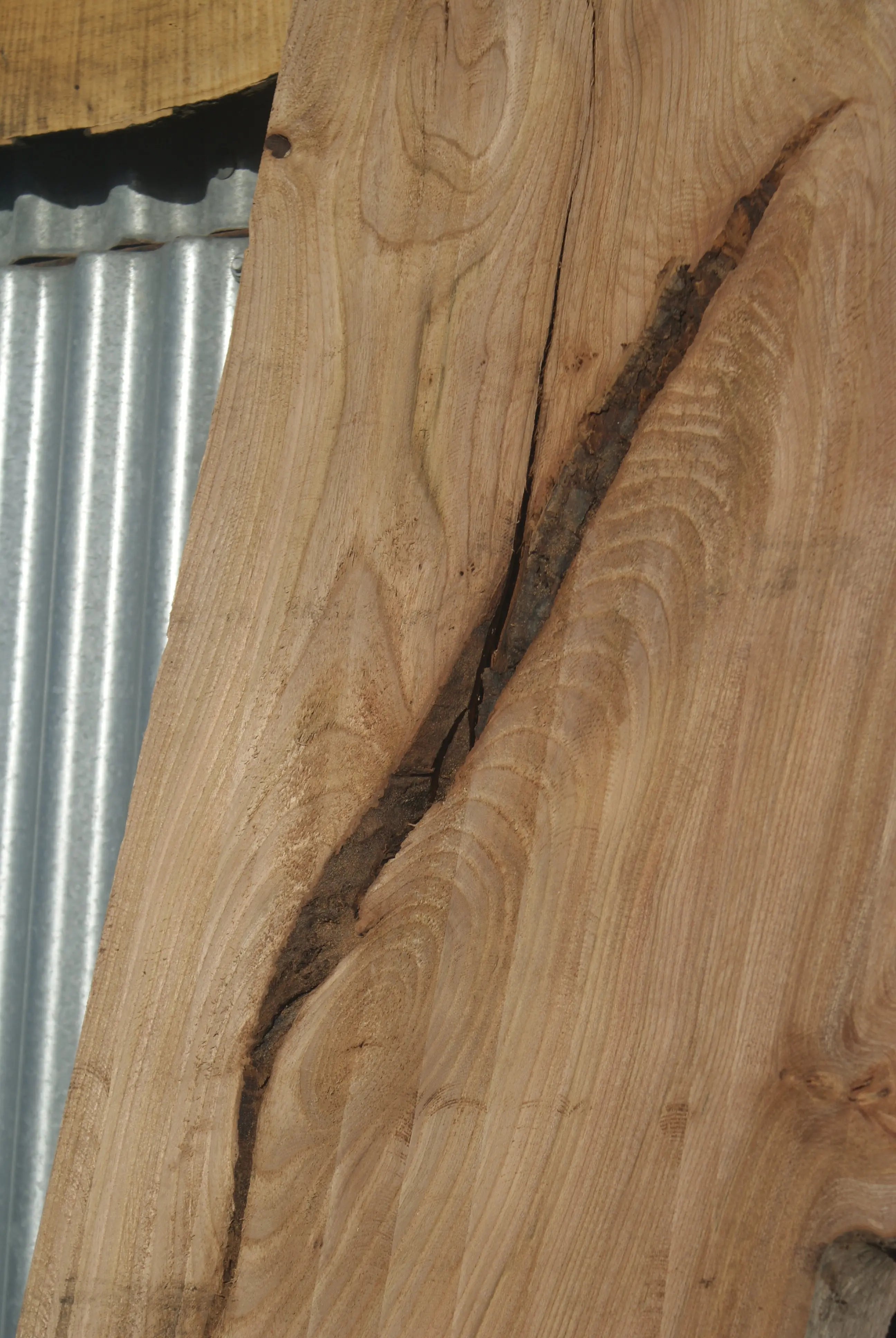 Large Elm Slab Kiln Dried 2780 L x 550 - 415 W x 38 D mm   (270) elm