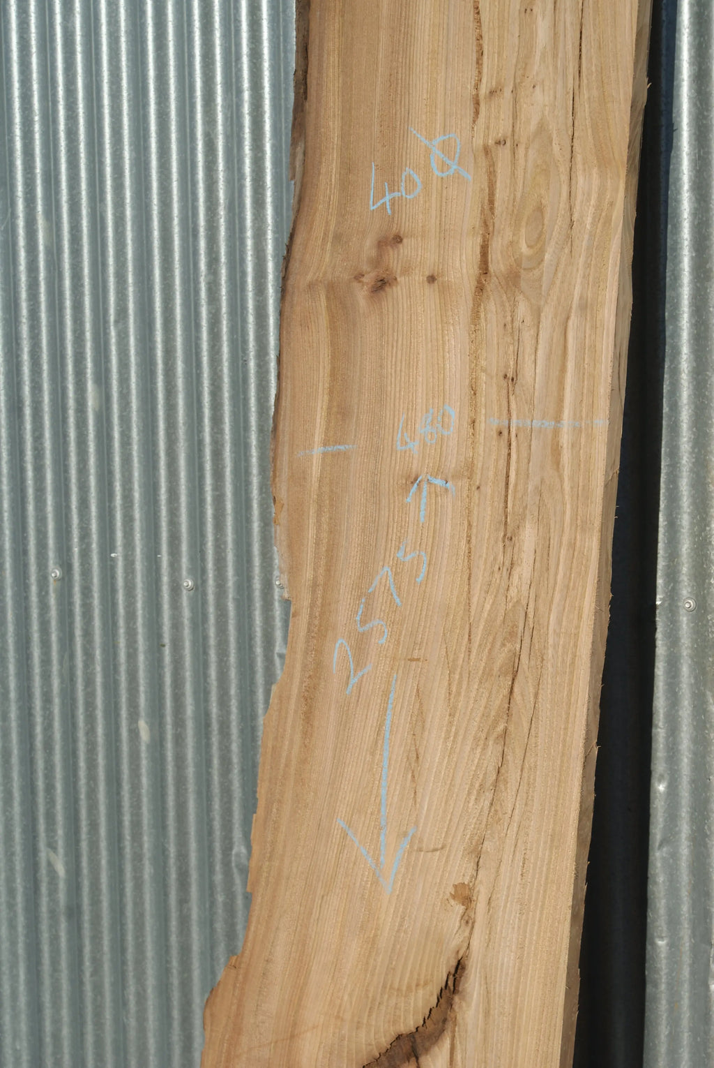 Large Elm Slab Kiln Dried 2575 L x 630 - 450 W x 40 D mm   (272) elm