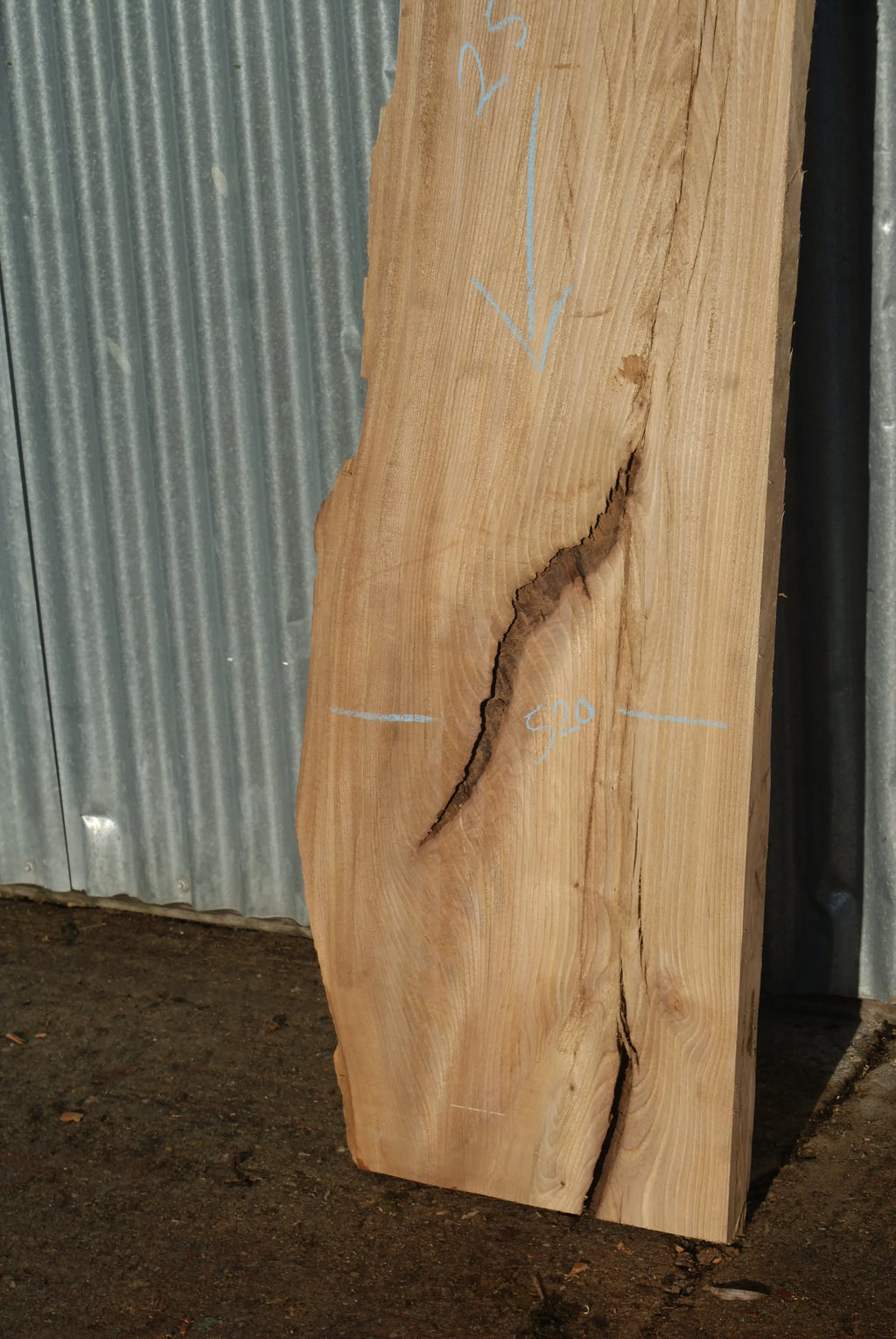 Large Elm Slab Kiln Dried 2575 L x 630 - 450 W x 40 D mm   (272) elm