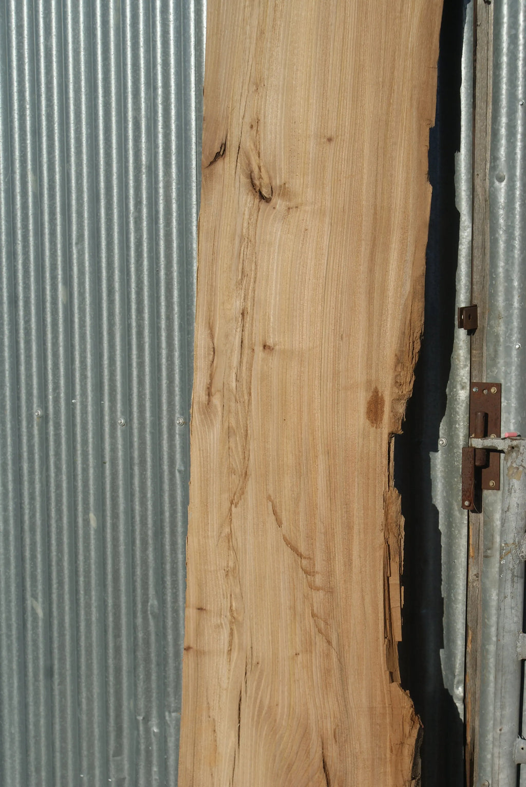 Large Elm Slab Kiln Dried 2575 L x 630 - 450 W x 40 D mm   (272) elm