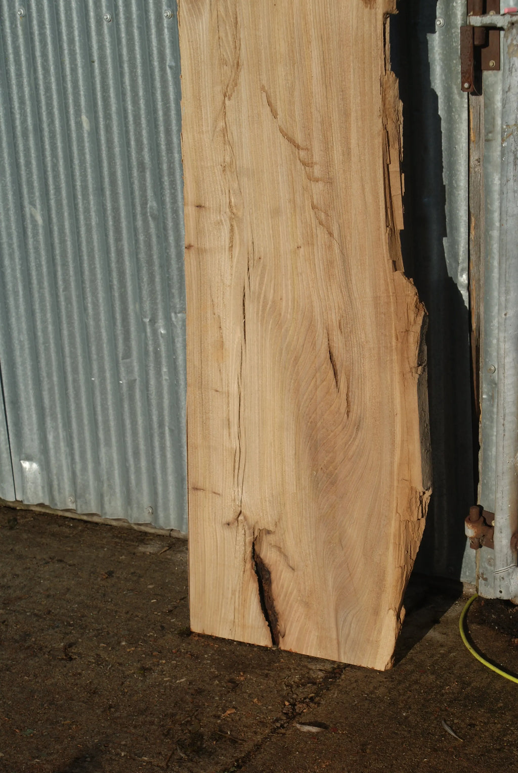Large Elm Slab Kiln Dried 2575 L x 630 - 450 W x 40 D mm   (272) elm