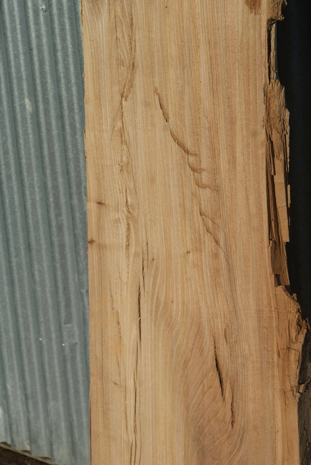 Large Elm Slab Kiln Dried 2575 L x 630 - 450 W x 40 D mm   (272) elm