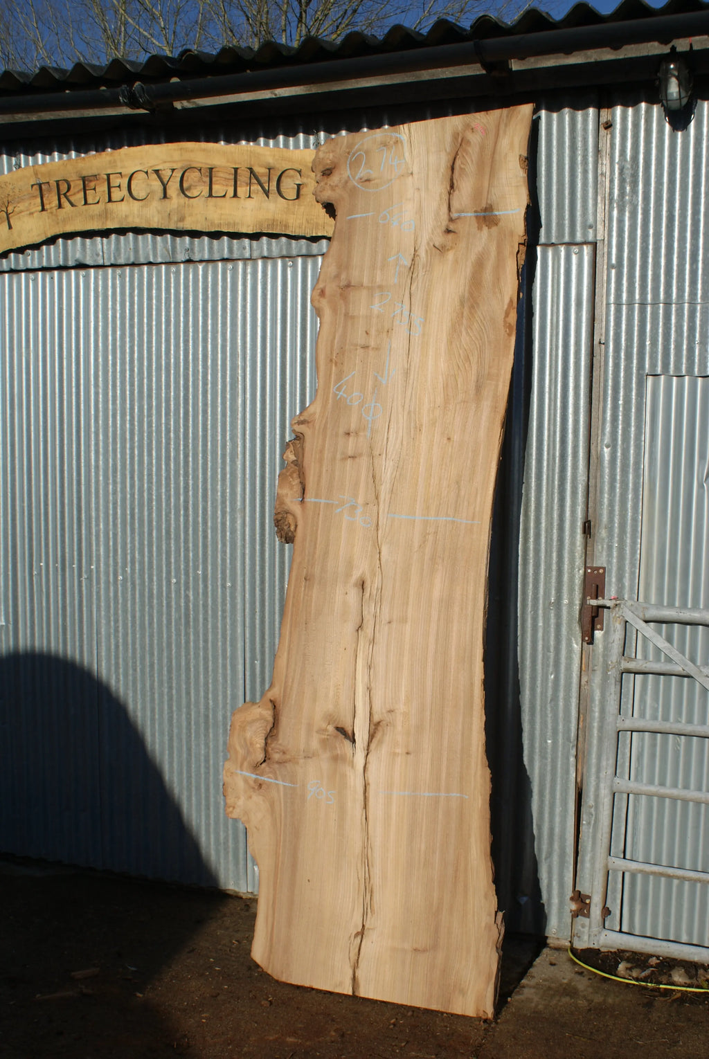 Large Elm Slab Kiln Dried 2755 L x 905 - 604 W x 40 D mm   (274) elm