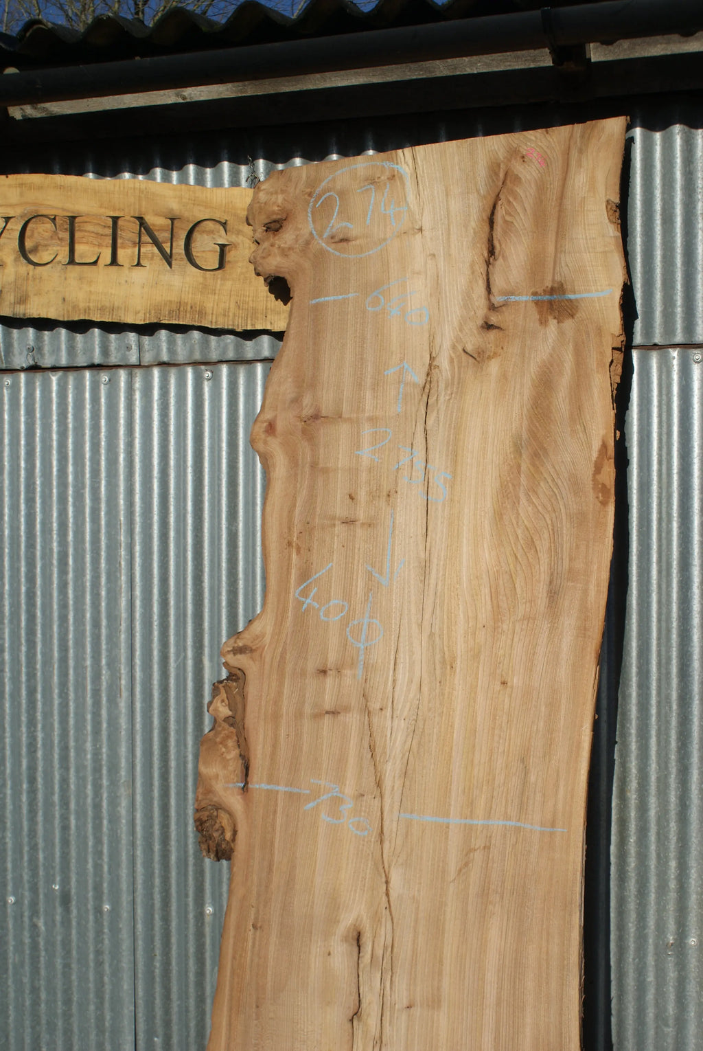 Large Elm Slab Kiln Dried 2755 L x 905 - 604 W x 40 D mm   (274) elm