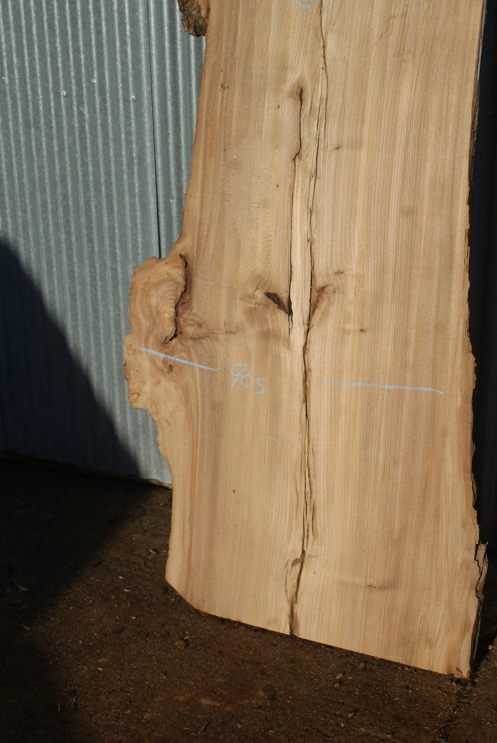 Large Elm Slab Kiln Dried 2755 L x 905 - 604 W x 40 D mm   (274) elm