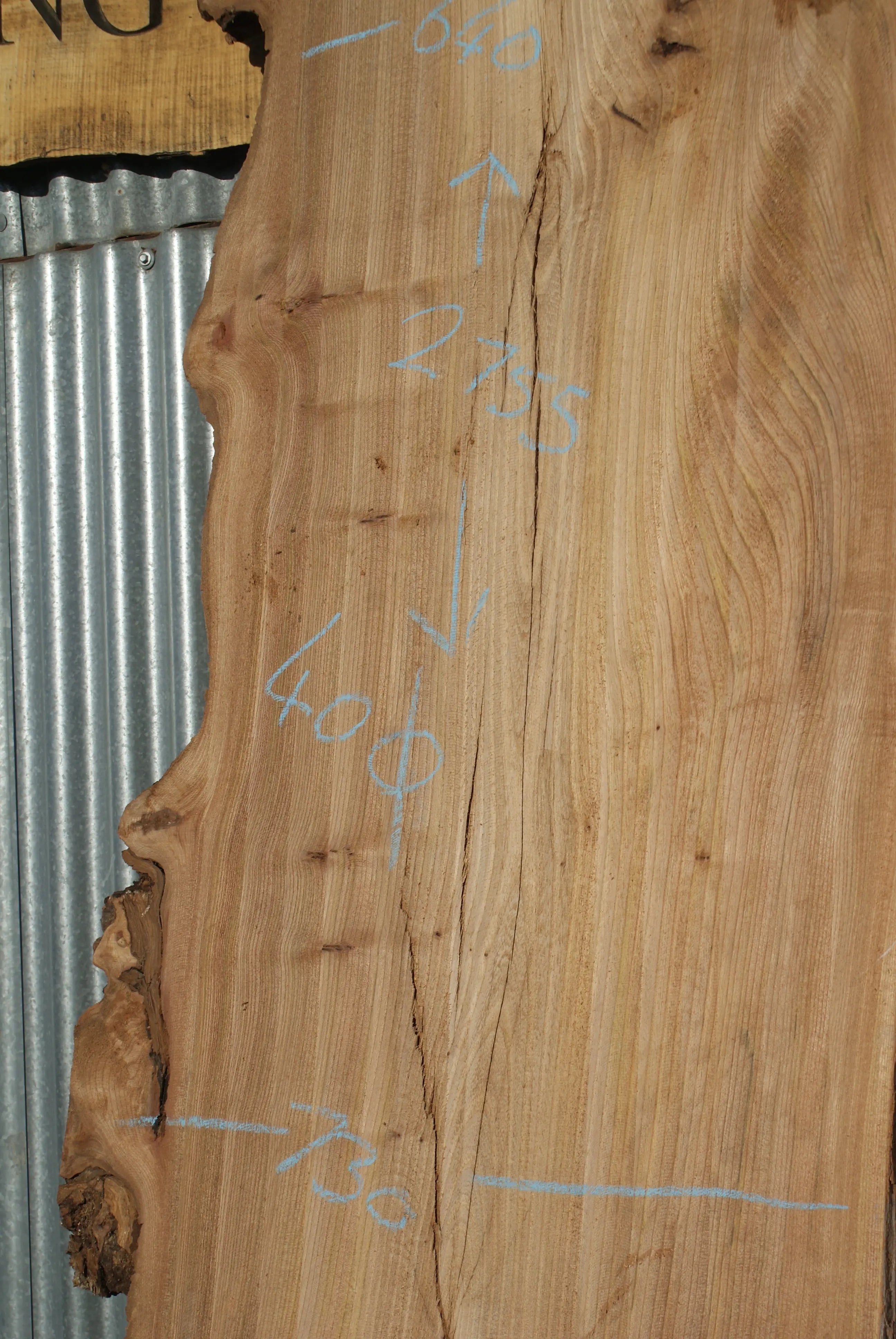 Large Elm Slab Kiln Dried 2755 L x 905 - 604 W x 40 D mm   (274) elm