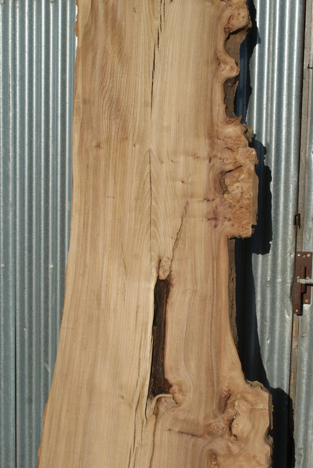 Large Elm Slab Kiln Dried 2755 L x 905 - 604 W x 40 D mm   (274) elm