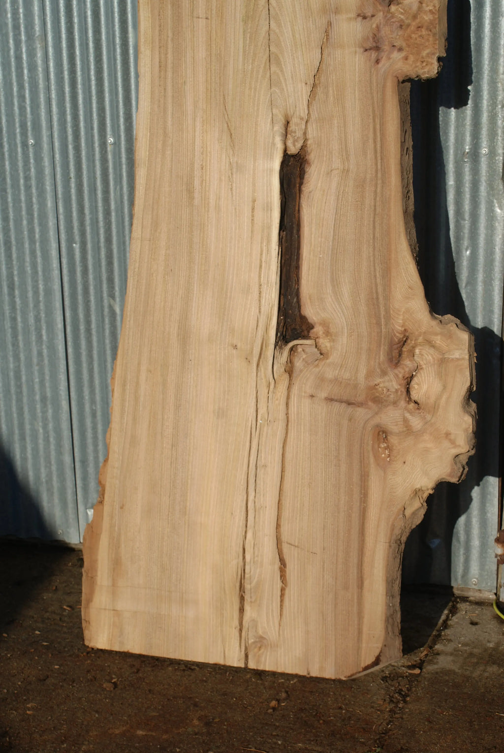 Large Elm Slab Kiln Dried 2755 L x 905 - 604 W x 40 D mm   (274) elm