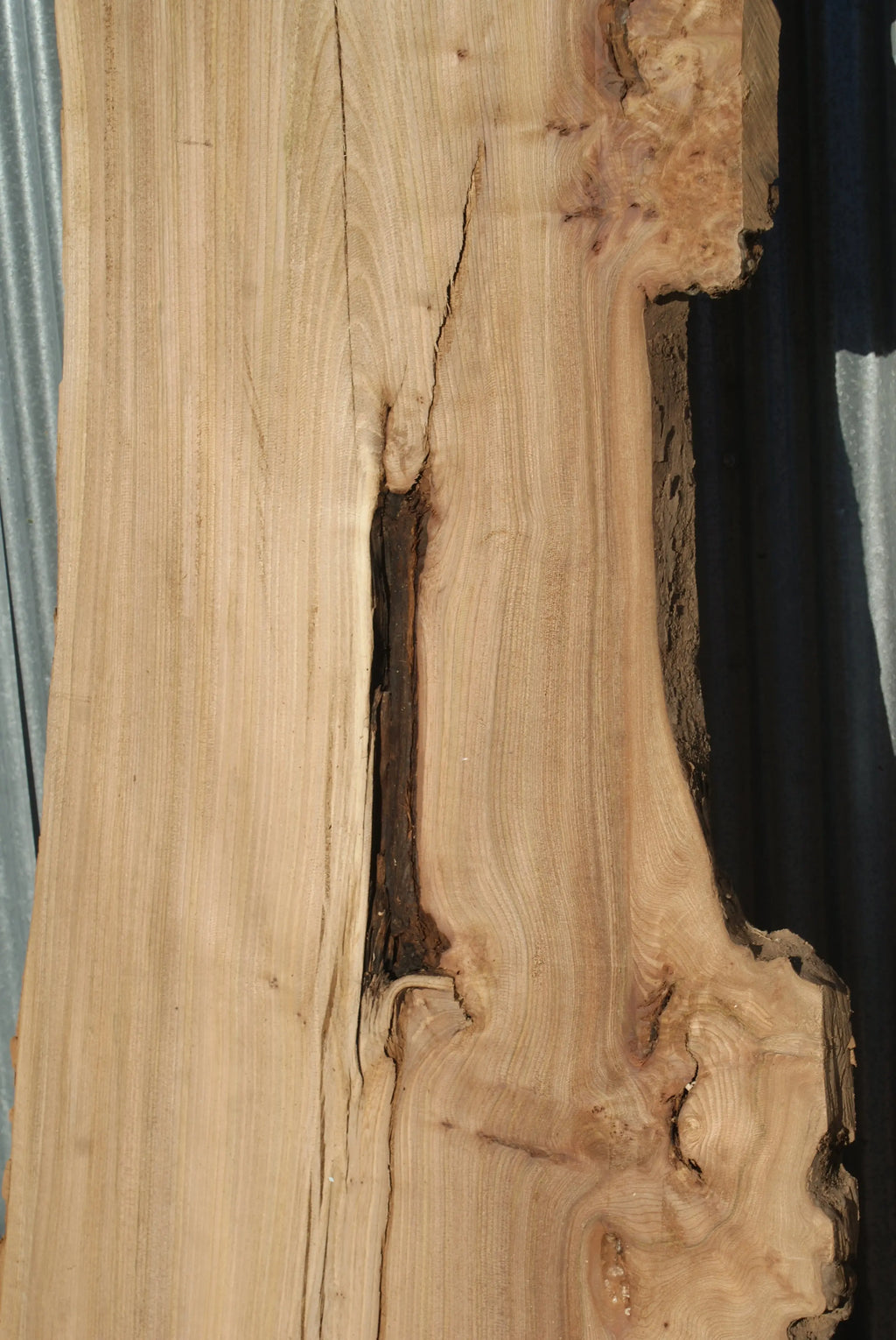 Large Elm Slab Kiln Dried 2755 L x 905 - 604 W x 40 D mm   (274) elm