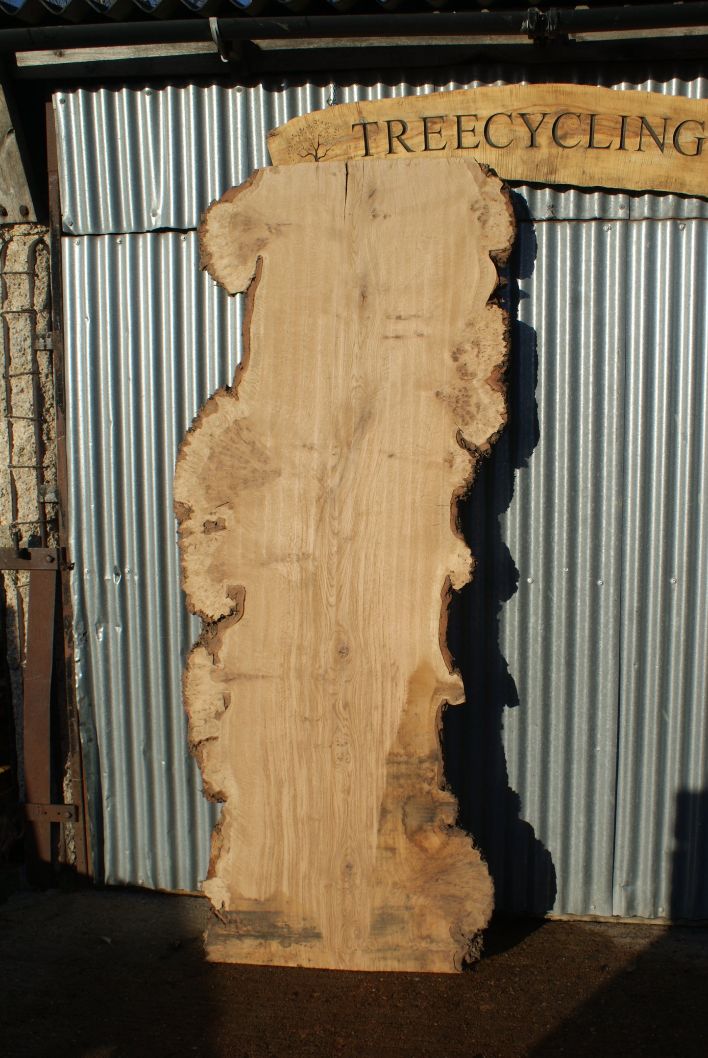 Burr Brown Oak Single Slab Kiln Dried 2510 L x 1010 - 645 W 50 D mm (283)