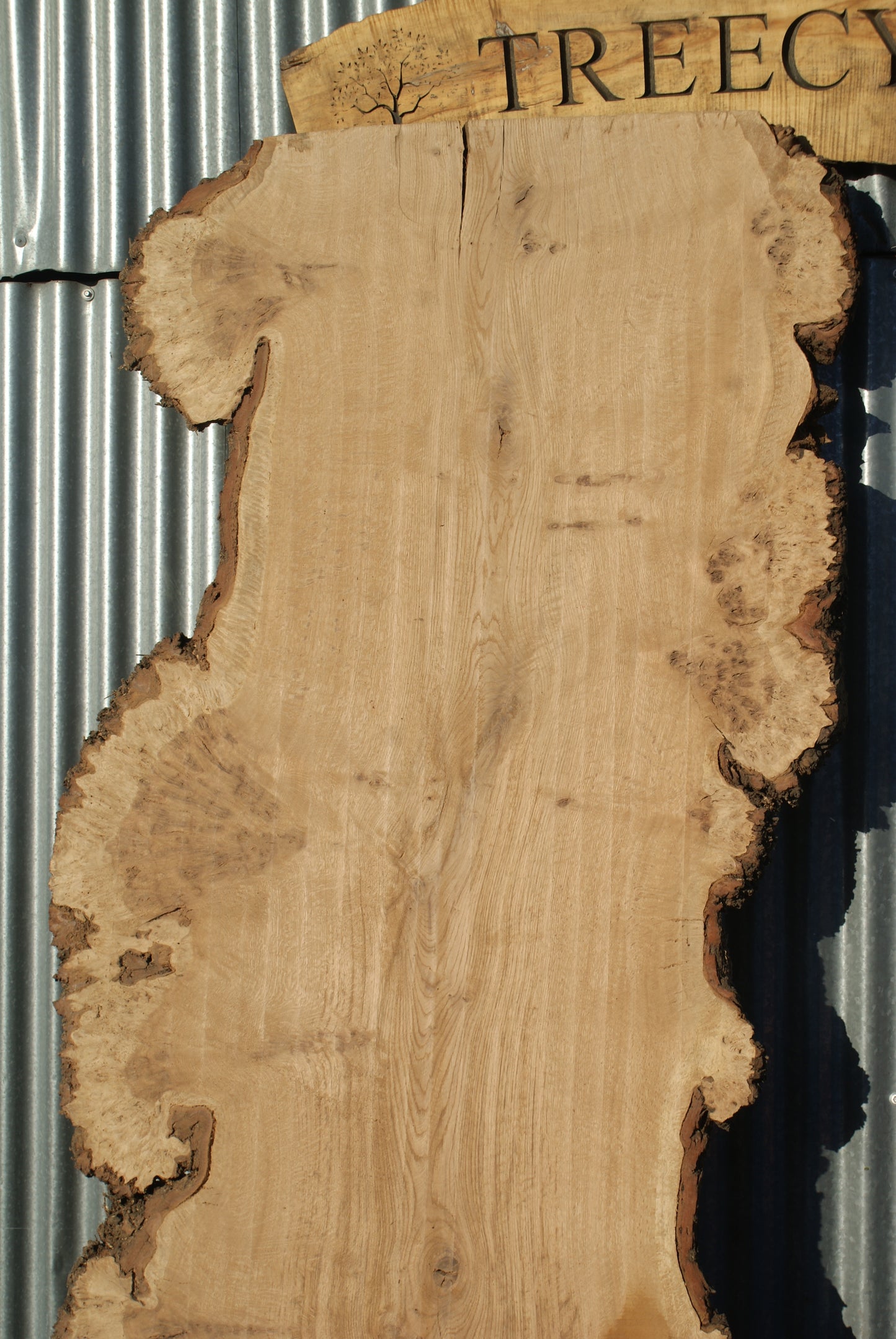 Burr Brown Oak Single Slab Kiln Dried 2510 L x 1010 - 645 W 50 D mm (283)