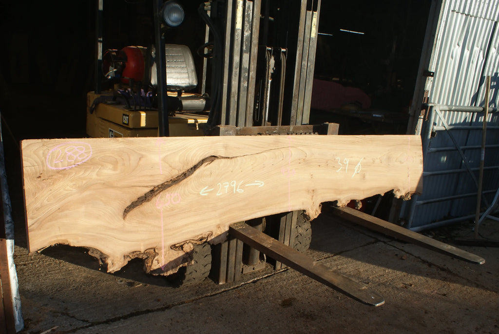 Elm Slab, Kiln Dried 2796 L x 650 - 378 W x 39 D mm   (288) elm