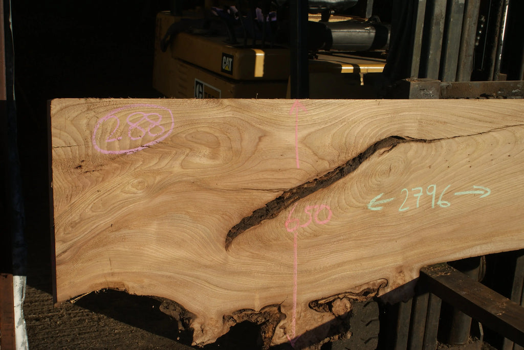 Elm Slab, Kiln Dried 2796 L x 650 - 378 W x 39 D mm   (288) elm