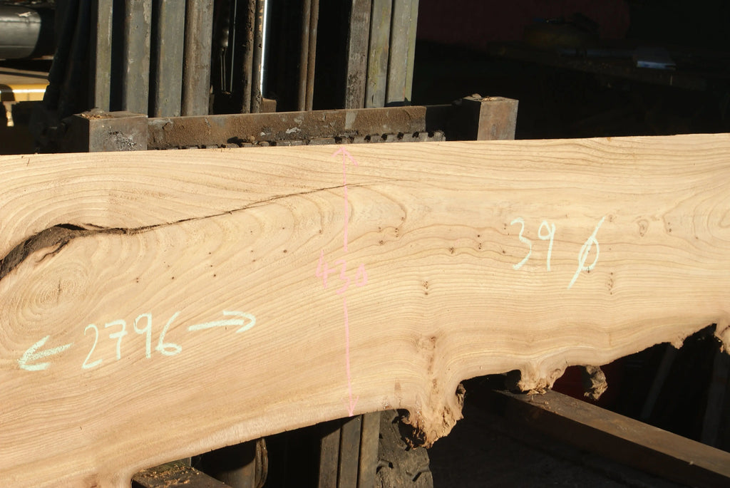 Elm Slab, Kiln Dried 2796 L x 650 - 378 W x 39 D mm   (288) elm