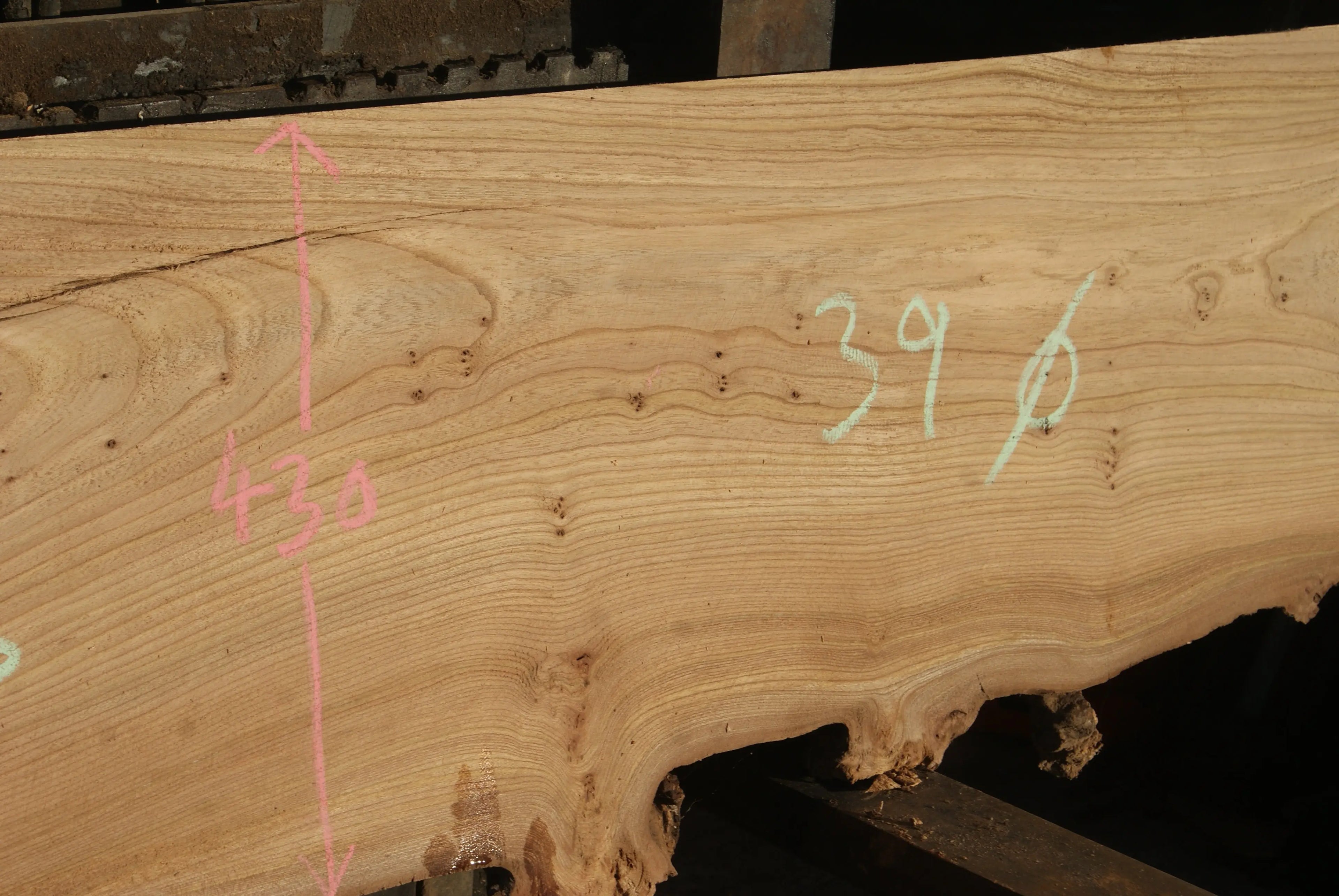Elm Slab, Kiln Dried 2796 L x 650 - 378 W x 39 D mm   (288) elm