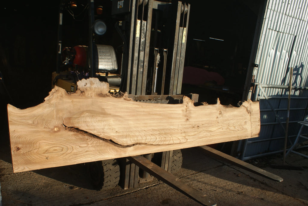 Elm Slab, Kiln Dried 2796 L x 650 - 378 W x 39 D mm   (288) elm