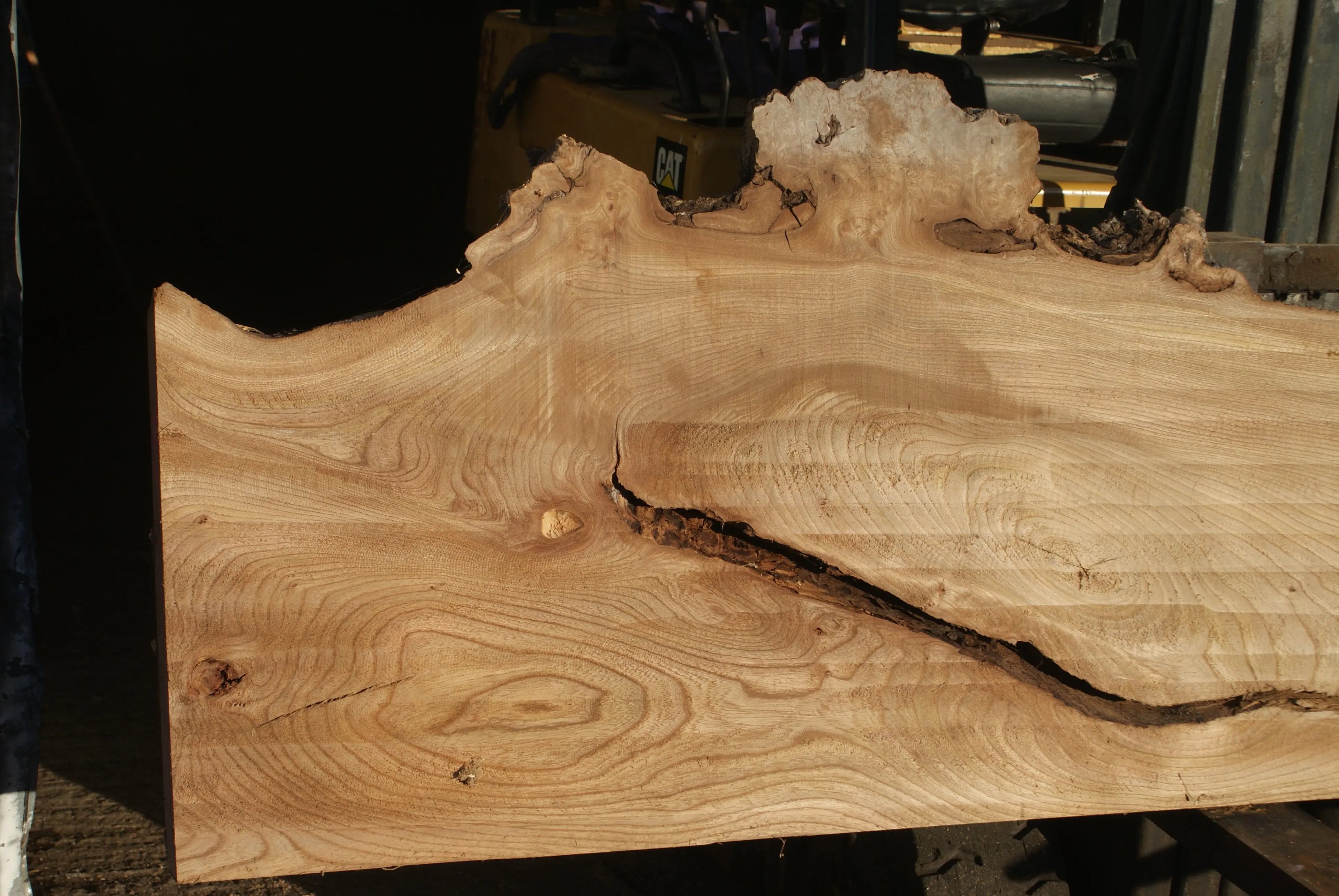 Elm Slab, Kiln Dried 2796 L x 650 - 378 W x 39 D mm   (288) elm
