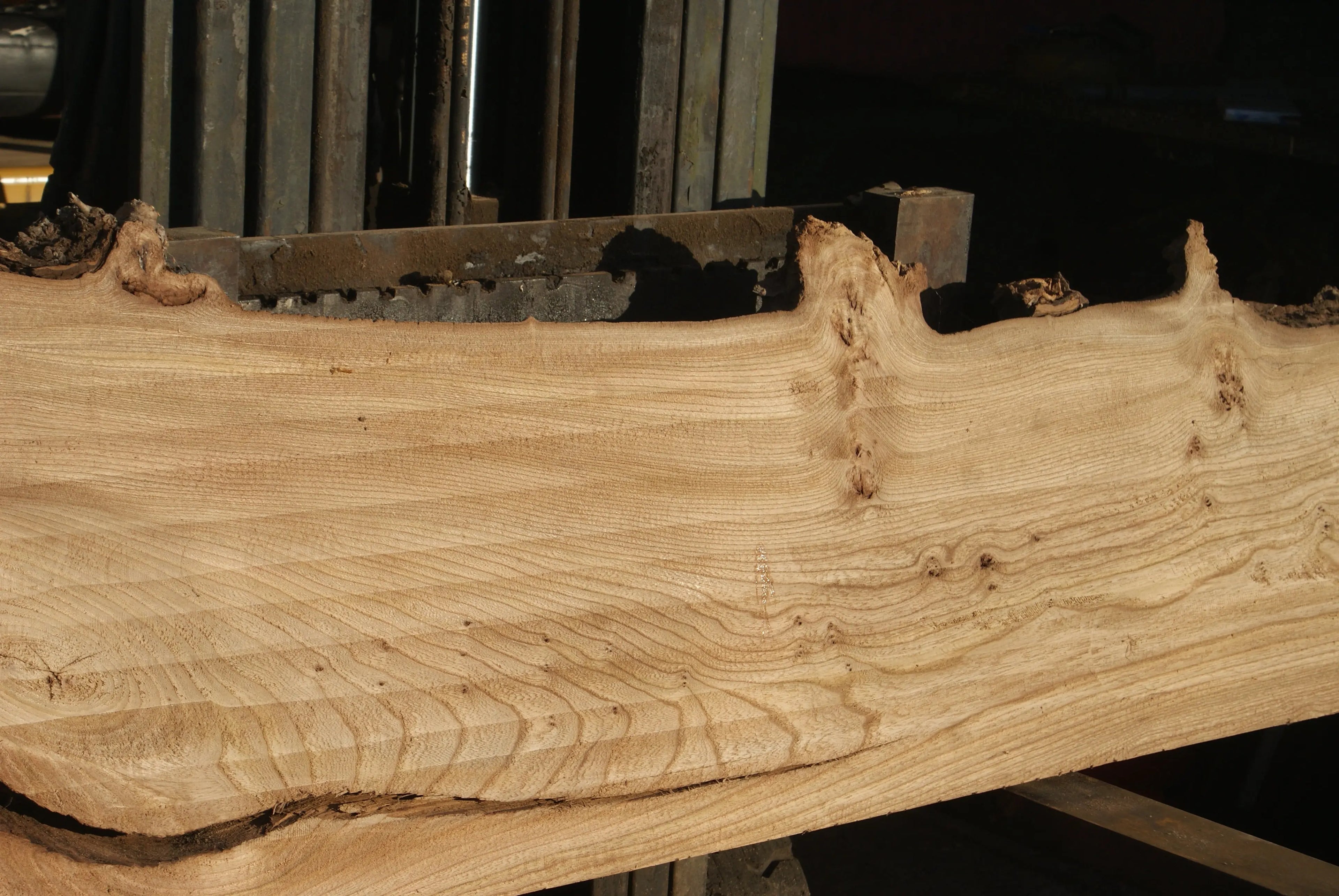 Elm Slab, Kiln Dried 2796 L x 650 - 378 W x 39 D mm   (288) elm